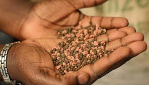 mixed fertilizer caking